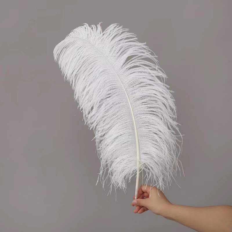 Long feather wedding decoration natural ostrich feather