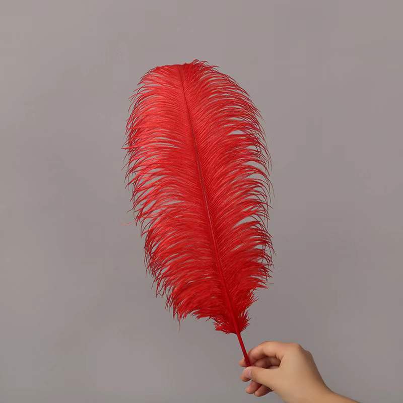 Long feather wedding decoration natural ostrich feather