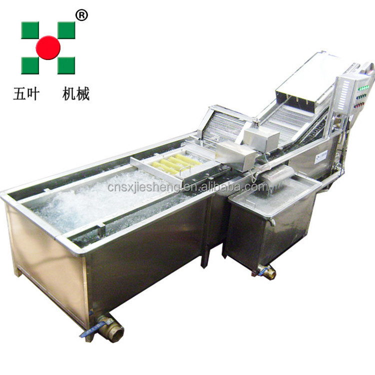 Multi-Functional Bubble Vegetable Frozen Fish Cleaning Machine Vegetable Washer Fruit Washing Machine for Industry