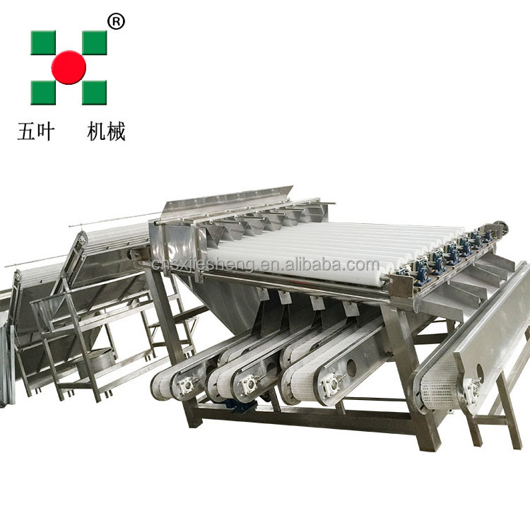 Stainless Steel Shrimp Sardine Fish Processing Equipment Shrimp Grading Machine for 6 grades