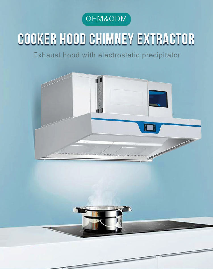 RUITAI All In One Exhaust Hood with Cooking Smoke Grease Extractor for Restaurant Exhaust Ventilation