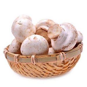 Yunnan White Champagne Button Mushroom