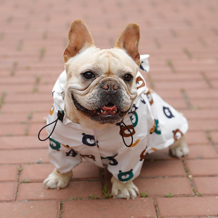 French Bulldog raincoat puppy waterproof bear clothes dog spring autumn thin  small dog raincoat