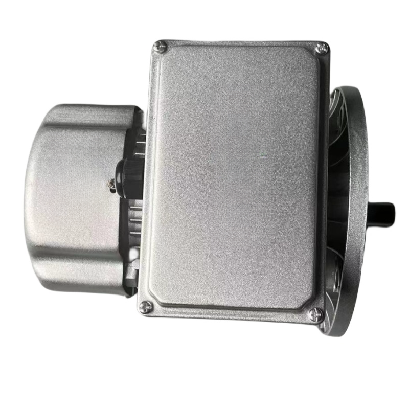 Low price 4 Pole Ac Motor Single Phase Motor And Three Phase Motor