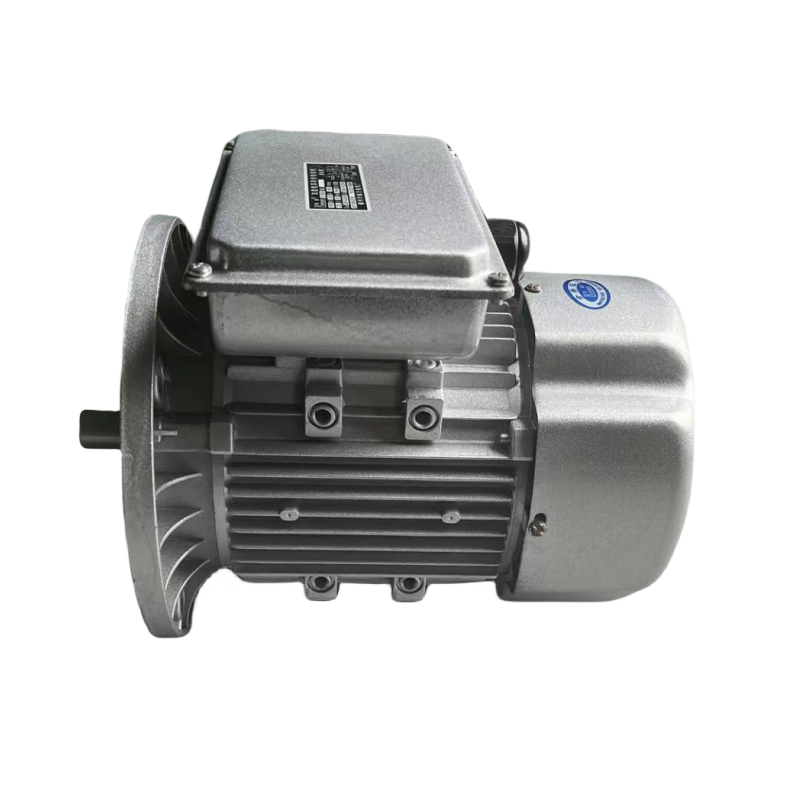 High Efficient 40kw 50kw 80 kw 100kw 220V AC Single Phase Induction Electric Motor