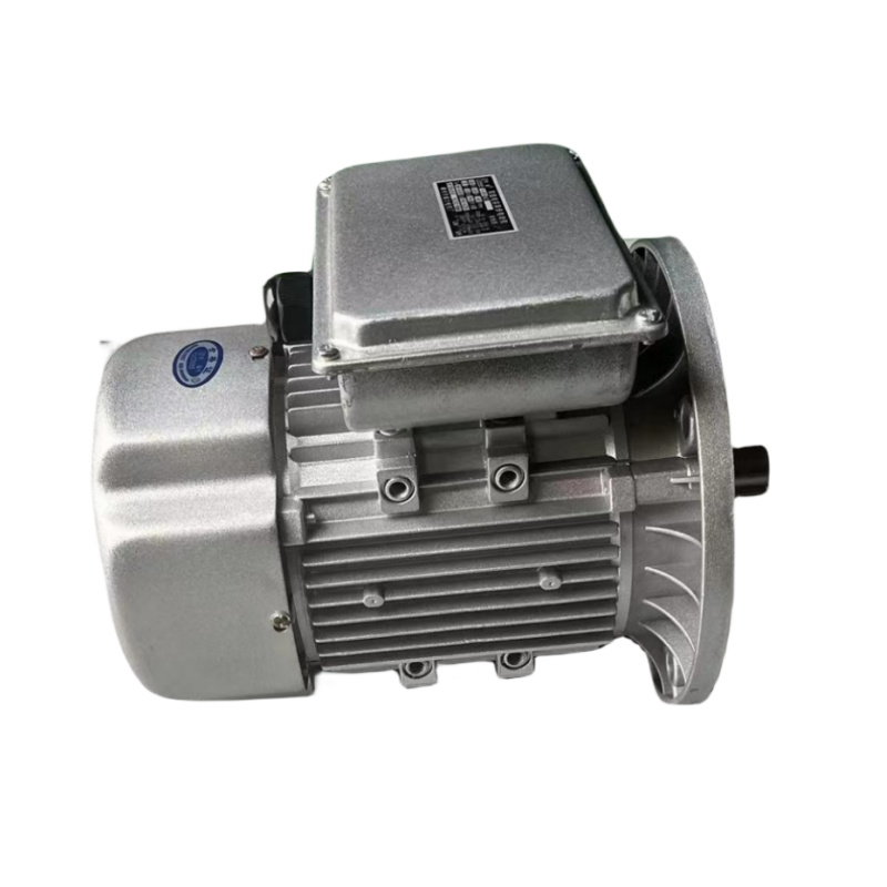 High Efficient 40kw 50kw 80 kw 100kw 220V AC Single Phase Induction Electric Motor