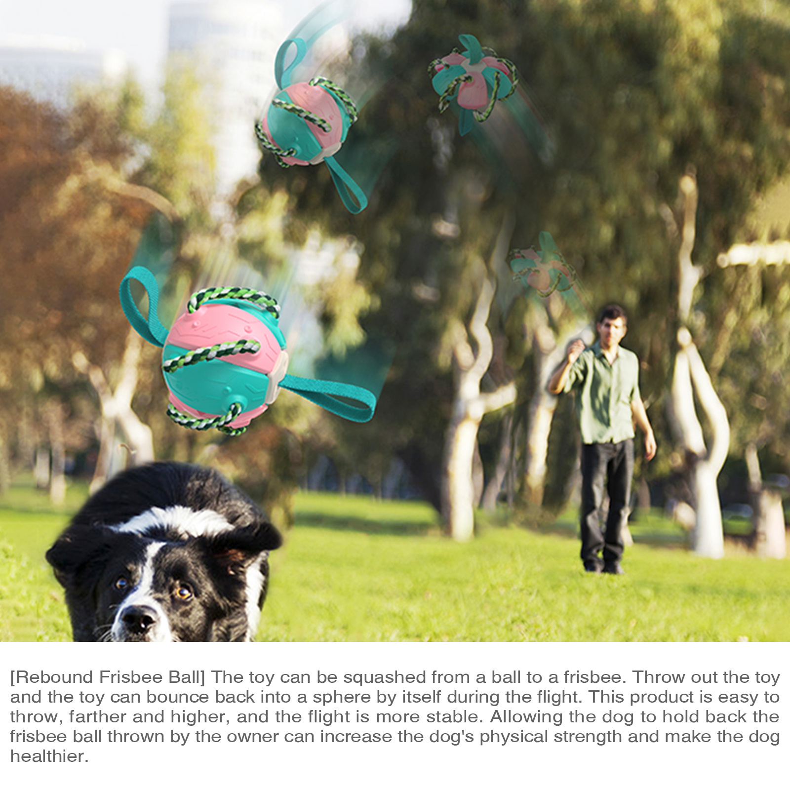 Fun Dog Catch Toy - Interactive Flying Disk for Outdoor Play