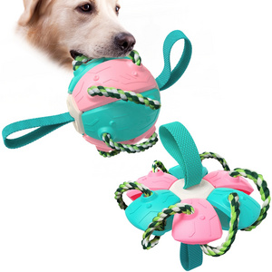 Fun Dog Catch Toy - Interactive Flying Disk for Outdoor Play