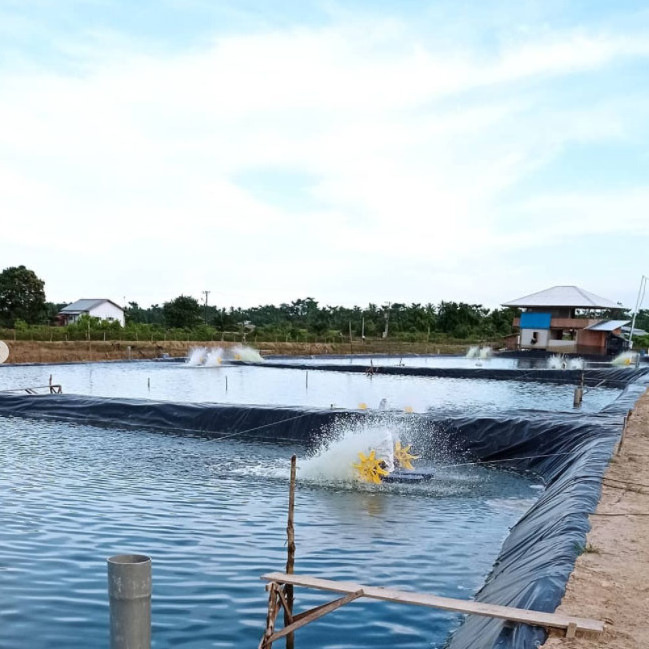 Circular Fish Farm Plastic Water Tanks Liner 1mm 1.5mm  Fish Farm Pond Liner 0.5mm 0.75mm HDPE Geomembranes  for Aquaculture