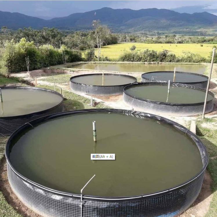 Circular Fish Farm Plastic Water Tanks Liner 1mm 1.5mm  Fish Farm Pond Liner 0.5mm 0.75mm HDPE Geomembranes  for Aquaculture