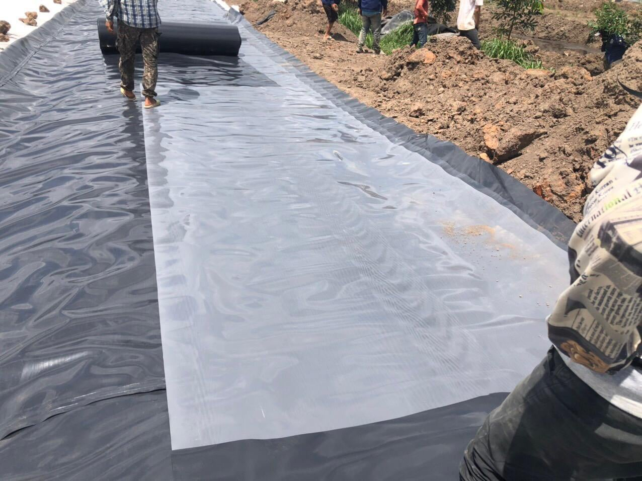 Hdpe fish pond liner geomembrane Price 0.5mm 0.75mm 1mm 2mm Fish Shrimp Farm Pond Liner