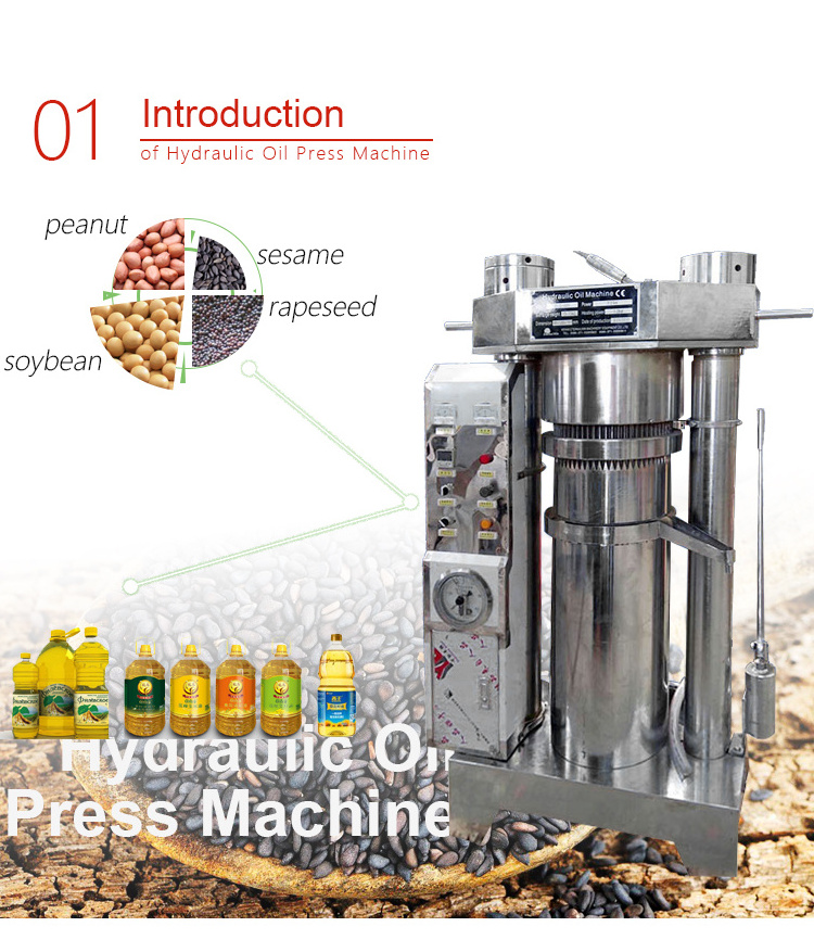 hydraulic sesame oil press machine cold press hydraulic oil press machine