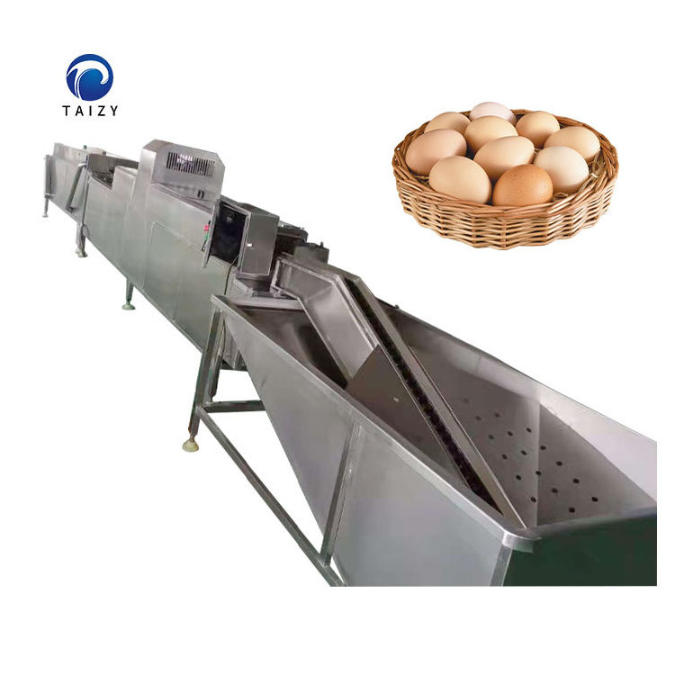 automatic chicken egg washer equipment duck egg washing machine