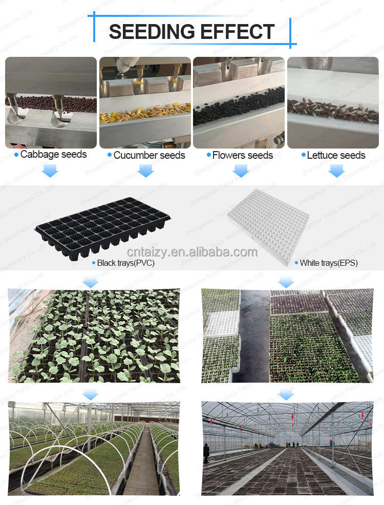 machine onion planting hand tray seeder carrot seed drill machine