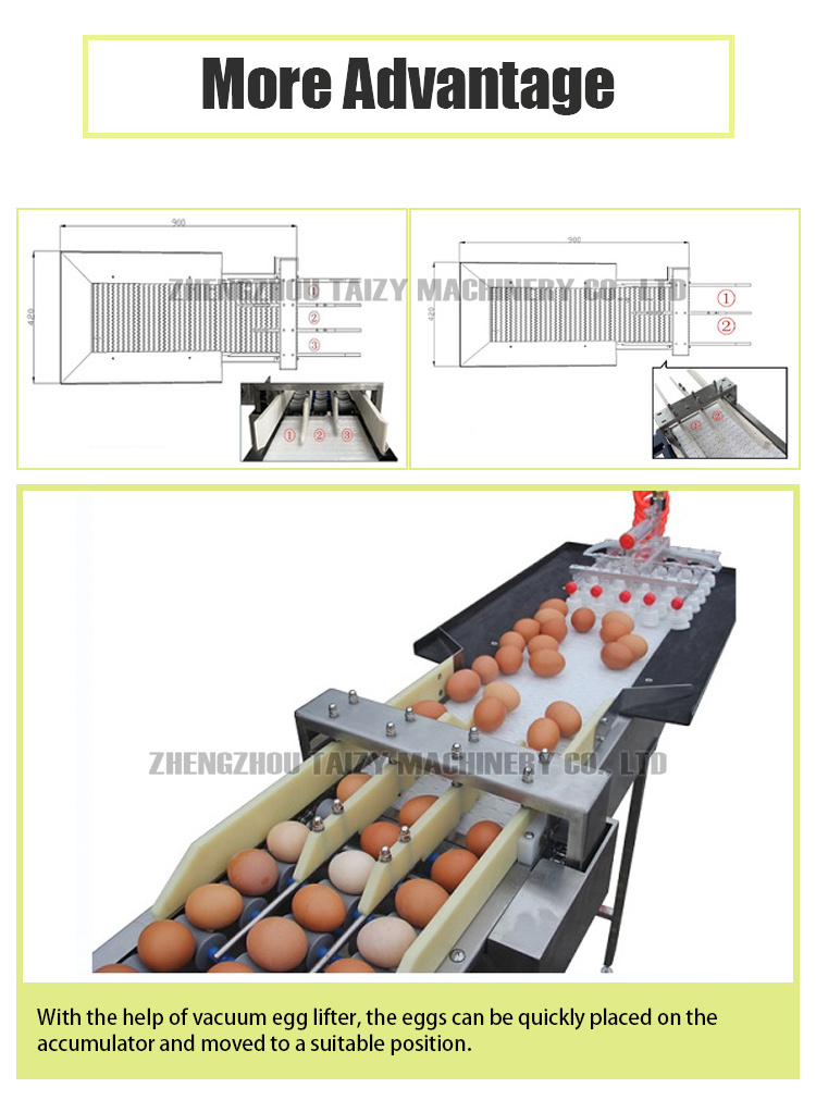 Professional Small Mini Farm Egg Classifier Grading Grader Egg Sorter Weighing Machine