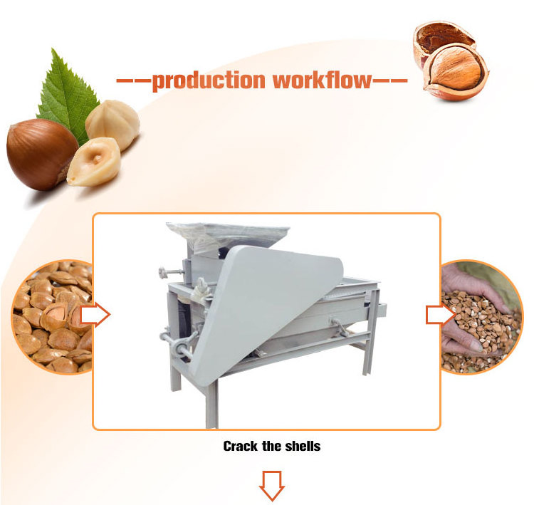 almond batam hazelnut palm kernel nut breaker apricot kernel sheller machine