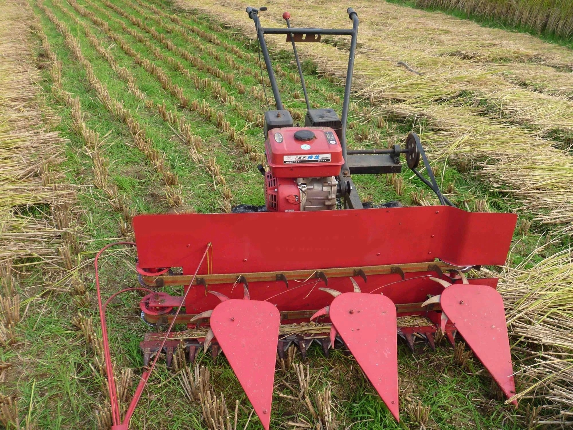 harvester lavender/alfalfa harvester machine