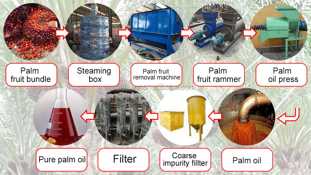 palm kernel oil extraction processing machine palm kernel oil refinery machine