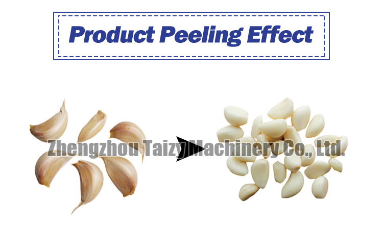 400 kg chain type garlic onion peeling machine automatic garlic peeling machine