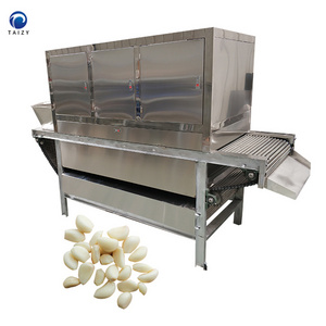 400 kg chain type garlic onion peeling machine automatic garlic peeling machine