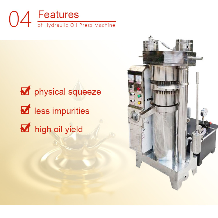 New type Cold pressing Pinus tomentosa Fruit Press Stainless steel hydraulic press Sesame oil press