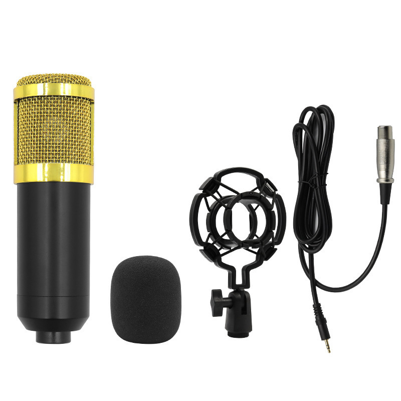 Hot Selling Pack Music Production Equipment Studio Recording Bm800 Condenser Mic Set V8 Sound Card