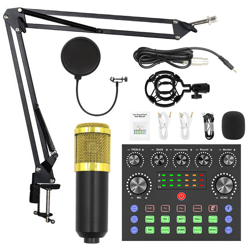 Hot Selling Pack Music Production Equipment Studio Recording Bm800 Condenser Mic Set V8 Sound Card