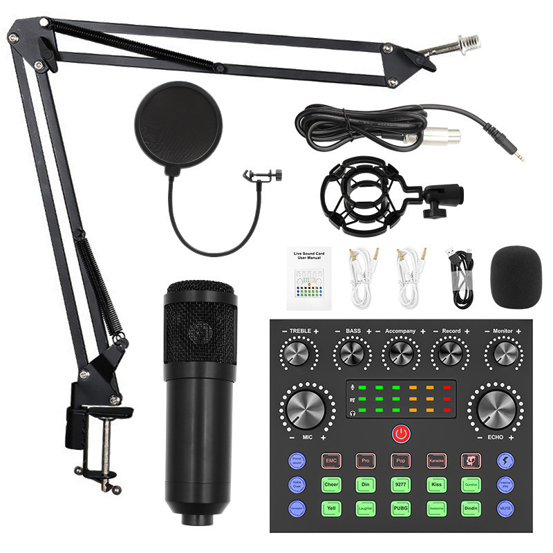 Hot Selling Pack Music Production Equipment Studio Recording Bm800 Condenser Mic Set V8 Sound Card