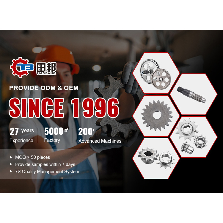 Custom Manufacturer Double M6 Standard And Special Small Pinion Steel Spur Gears Gear Set