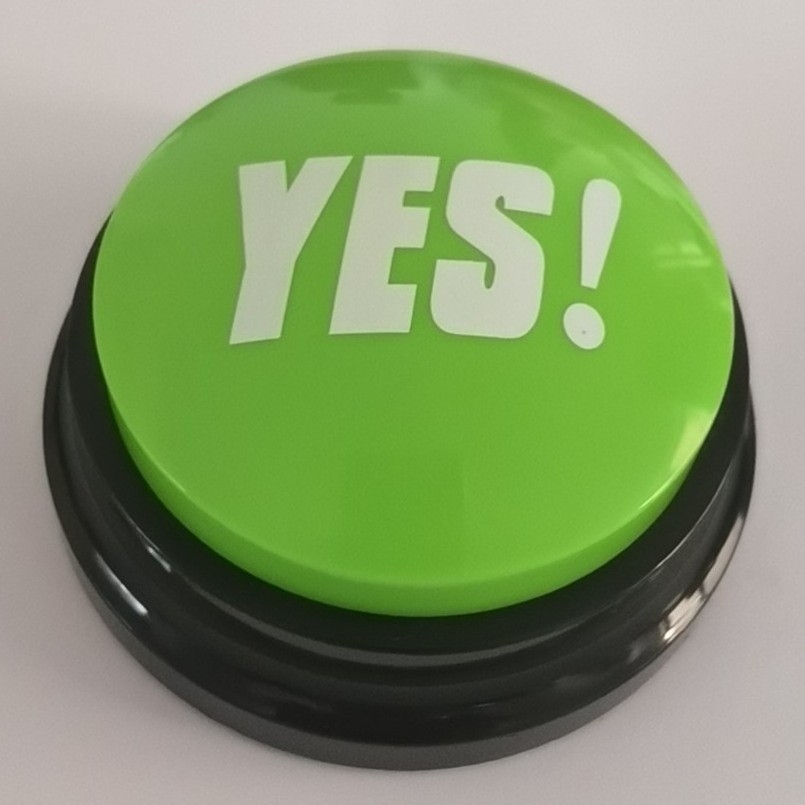 Buzzer Buttons Talking Yes & No Buzzer Buttons - Pack of 2 - Easy Button