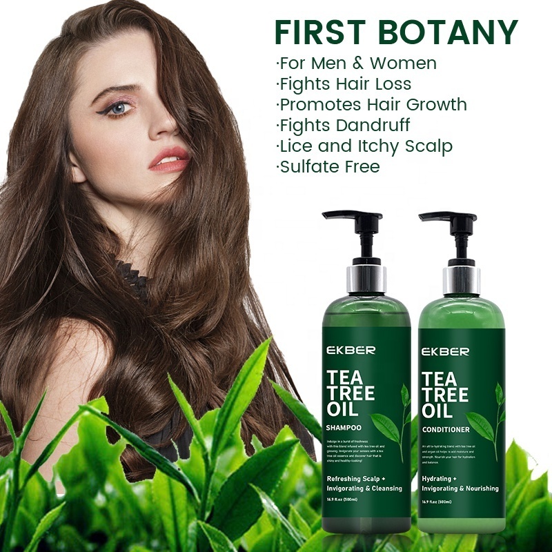 Hot Sale Oem Korean Hair Care Products Shampoo Conditioner Combo Tea Tree Oil Shampoo Natural Hair Conditioner And Shampoo Set