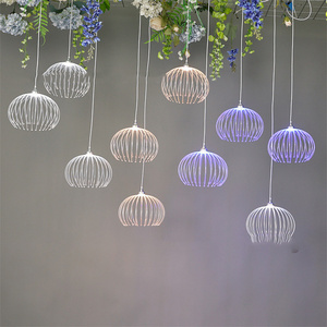 High-quality New Wedding Glow 10heads Dandelion Decorative Lights Hanging String Wedding Hall Window Ceiling Decoration