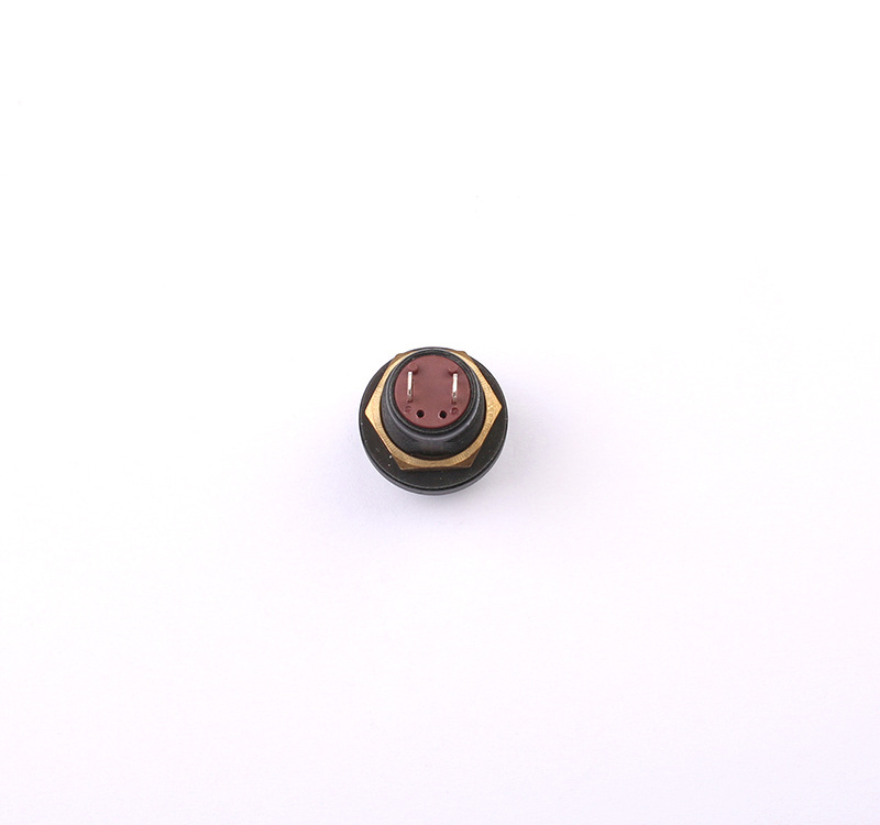 Push Button Switch On Off Waterproof momentary and maintained 12mm Push Button Switch For Car Boat