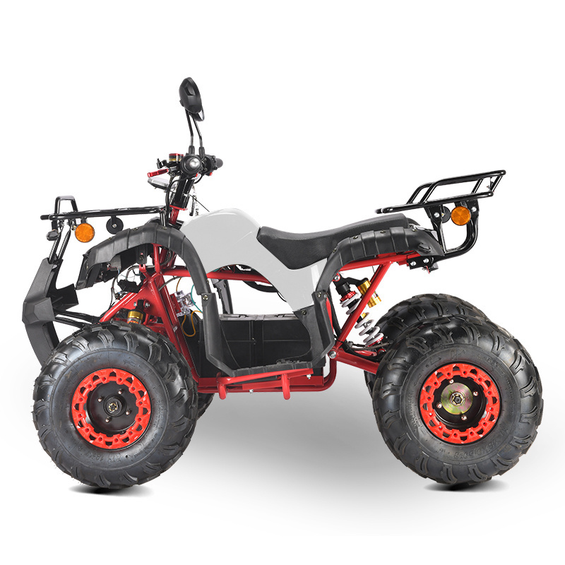 EEC COC certificated cheap adult electric 4wheeler atv for adults