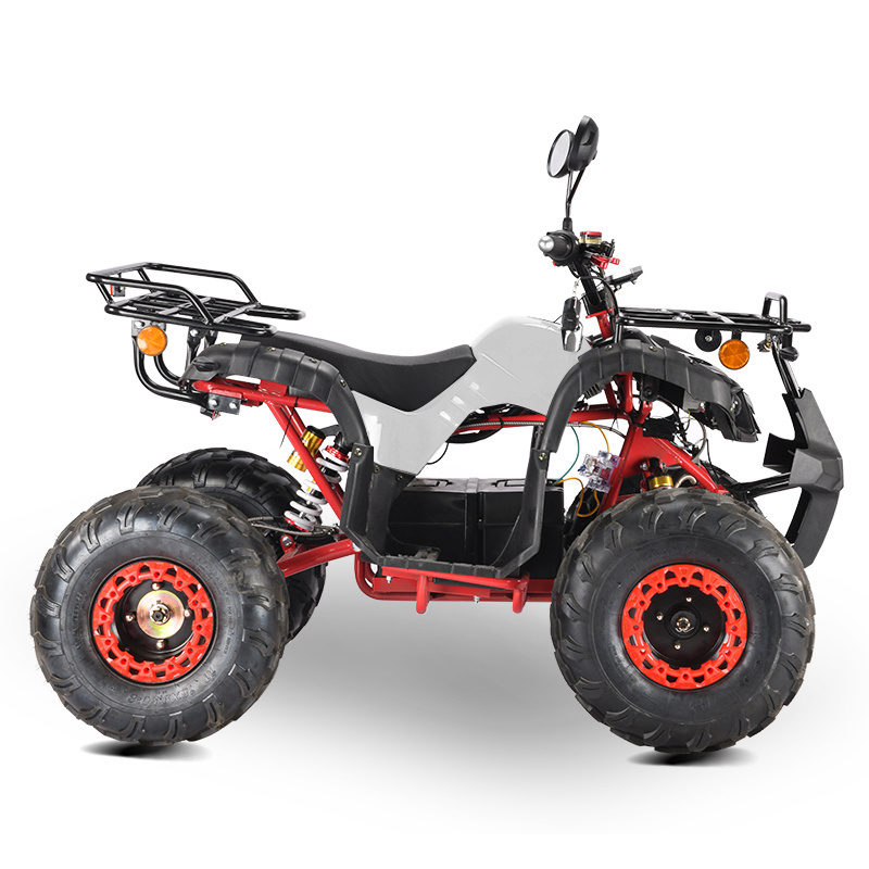 EEC COC certificated cheap adult electric 4wheeler atv for adults