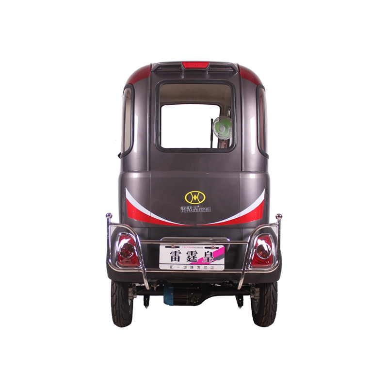 Factory Price Closed body Passenger Tricylces 800W 1000W 3 Wheel Electric trike / Moped Car / Electric Car