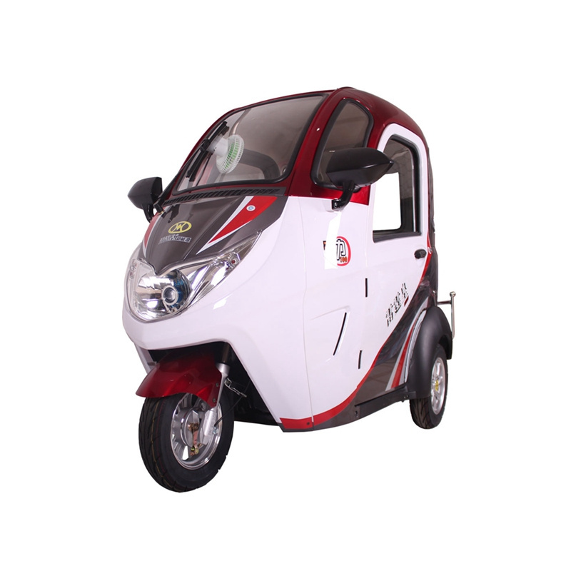 Factory Price Closed body Passenger Tricylces 800W 1000W 3 Wheel Electric trike / Moped Car / Electric Car