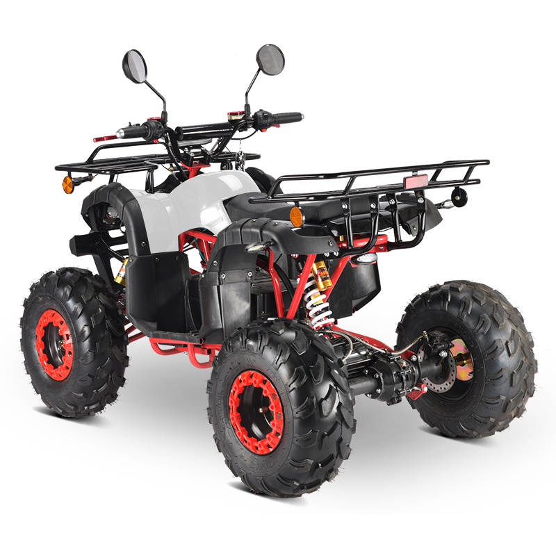 EEC COC certificated cheap adult electric 4wheeler atv for adults