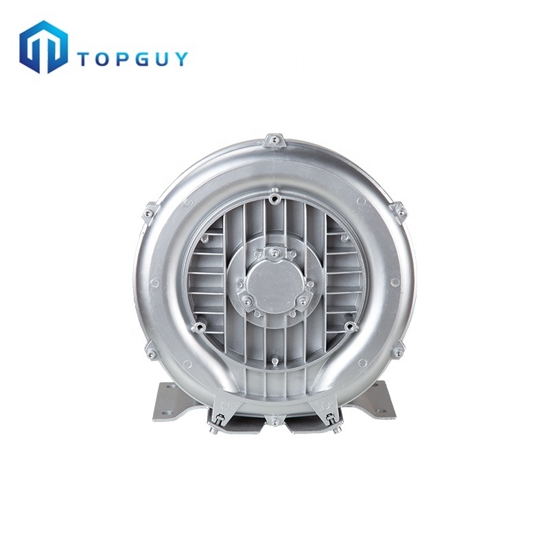 China Supplier Low Noise Factory Direct Supply Housing Inflatable Air Blower