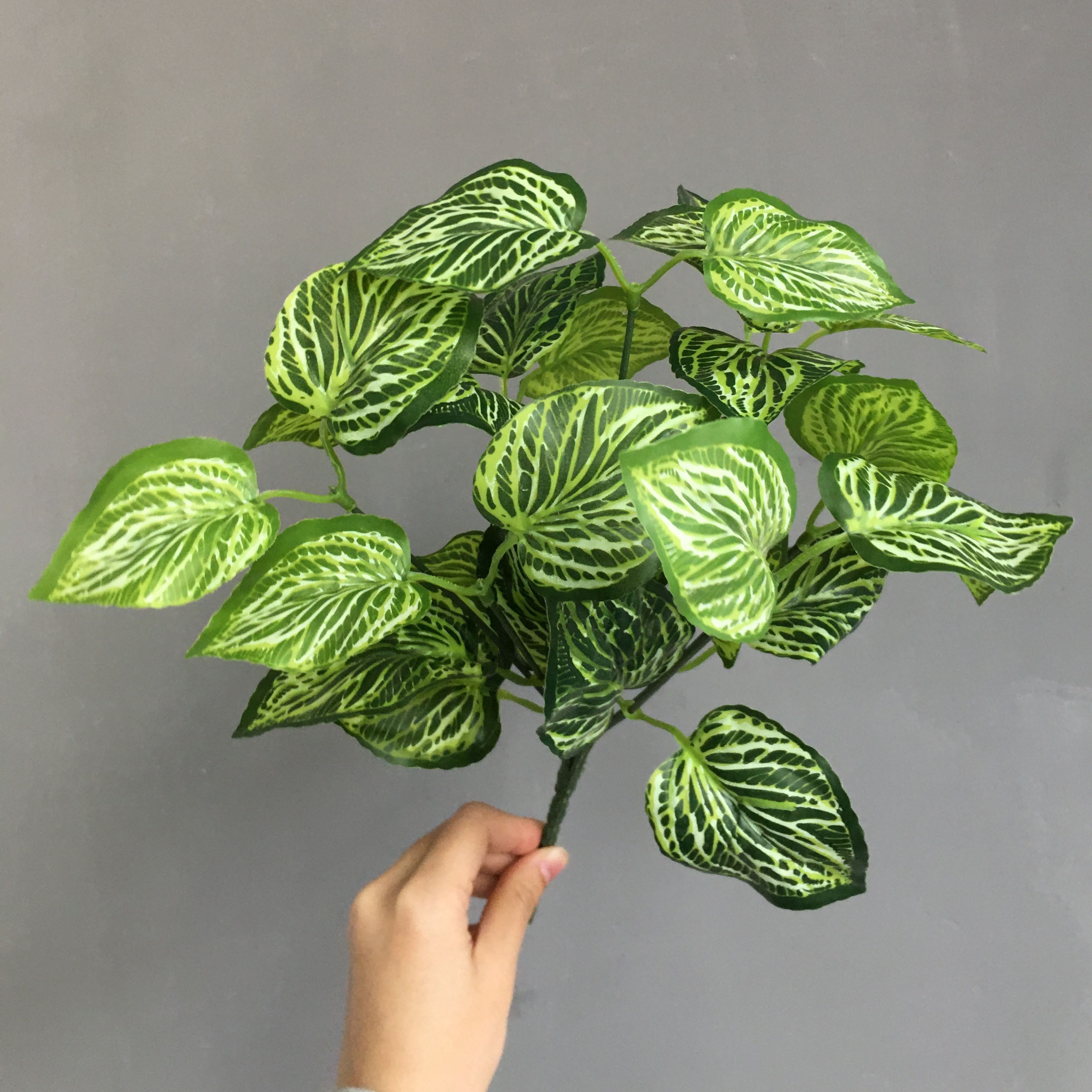 Wholesale Green Bush Artificial Caladium Leaves for Bottoming Leaves Floral Arrangement Home Party Shop Decor