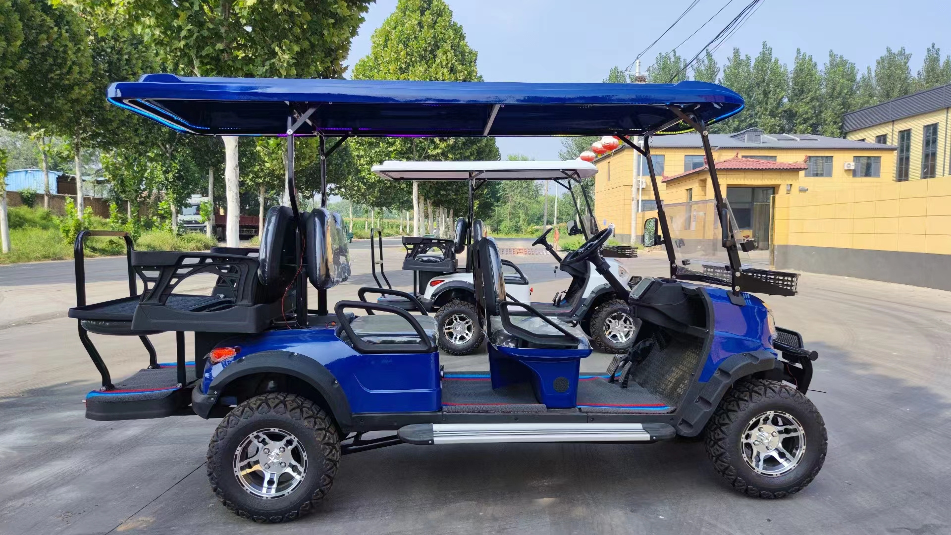 Electric 6 person golf cart for sale 6 Seater Cars Adults Vehicle Electric Golf Cart