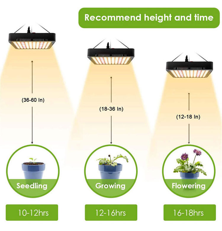 Hydroponic Indoor Grow Room Grow Tent Commercial Hydroponic Systems