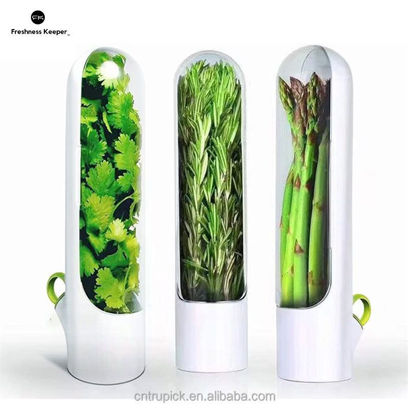 Transparent Herb Storage Container Herb Keeper Kitchen Gadgets Greens Fresh Keeping Vanilla Preservation Cup Herb Saver