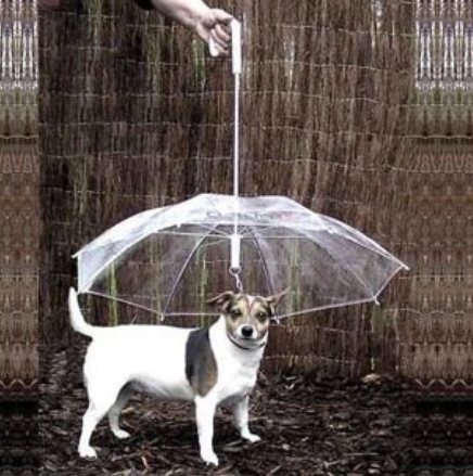 Rain Pet Cat and Pet Dog Umbrella Pet Umbrella for Dog Sunny and Rainy Umbrella Travel for Children Outdoor Super Markets