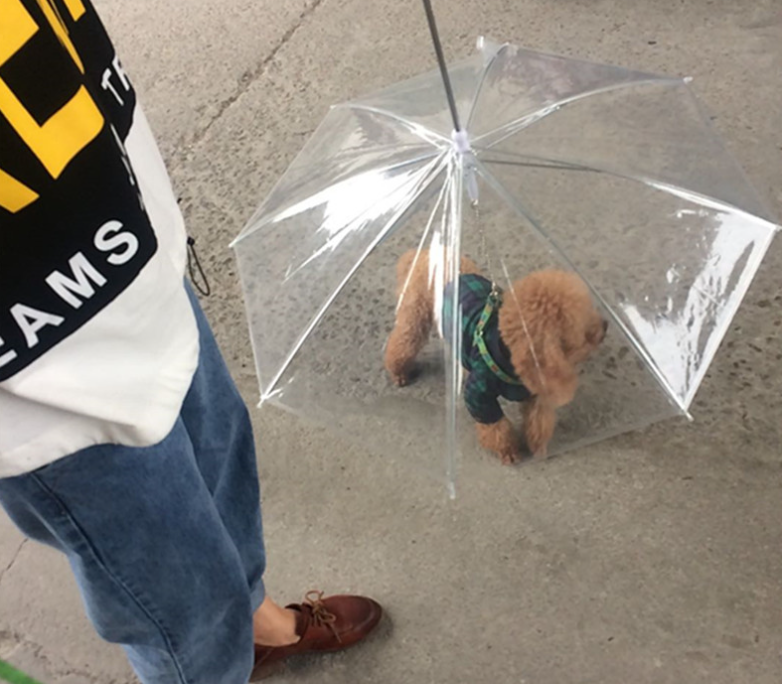 Transparent waterproof pet rain gear dog umbrella with leash