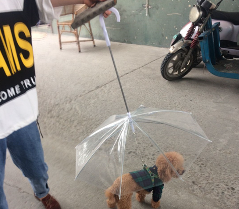 Transparent waterproof pet rain gear dog umbrella with leash