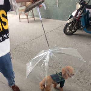 Transparent waterproof pet rain gear dog umbrella with leash