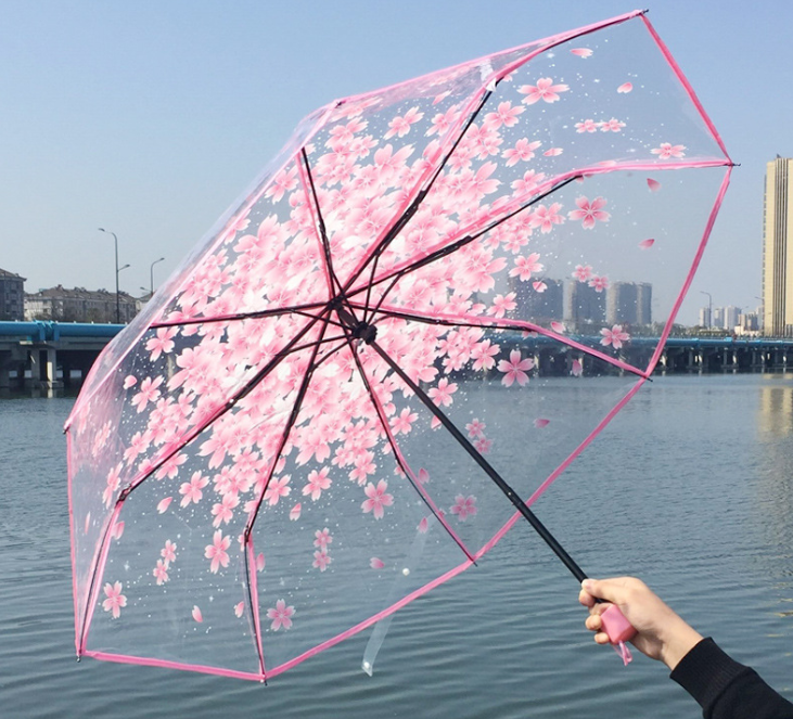 Kid's Bubble Dome Umbrella Transparent Clear Adult Umbrellas Gray Color Plastic Handle Manual Open,all in 1 for Children Support