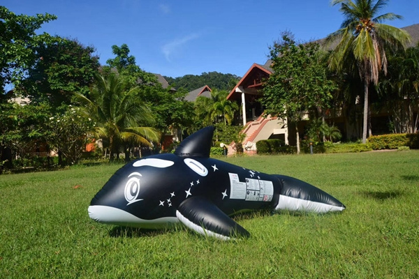 Inflatable black killer whale pool float for gifts and  party