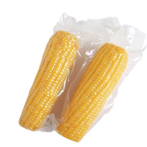 Factory Wholesale Price Superior Quality Best Selling Natural Yellow Color Fresh Sweet Corn